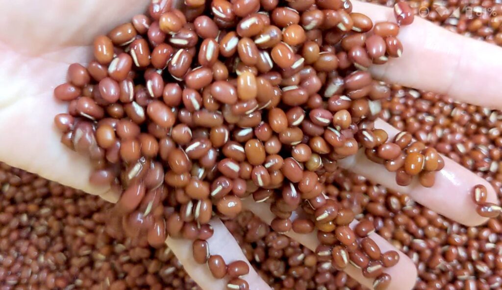 【ぜんざい開発ストーリー】